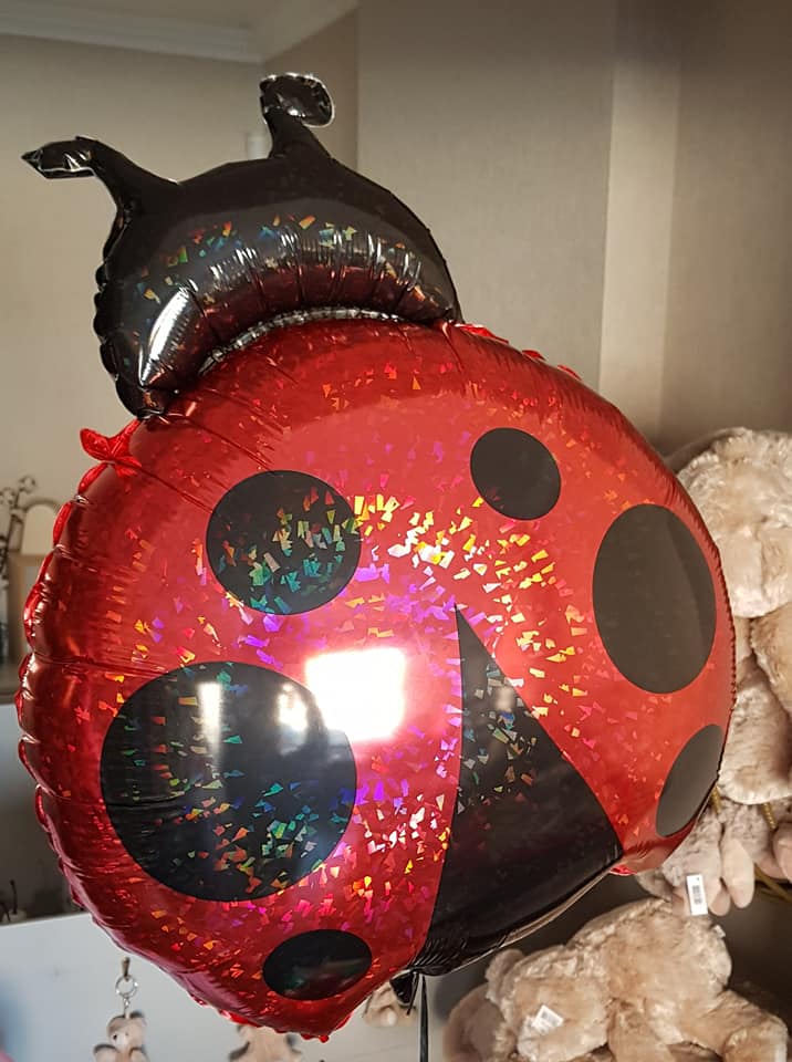 Ballon Ballonnen lieveheerbeestje verjaardag Sint-Truiden Hoeselt